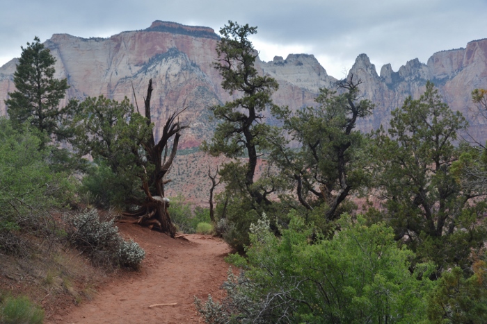 The Watchman Trail 